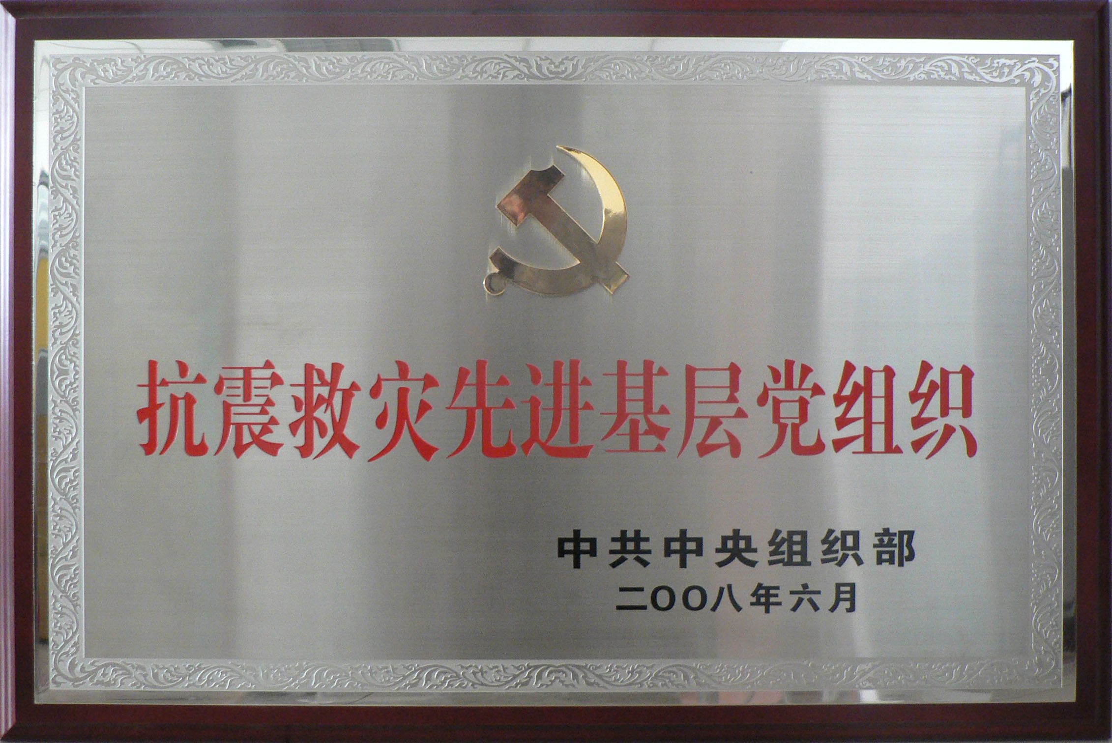 11抗震救災(zāi)先進(jìn)基層黨組織.jpg
